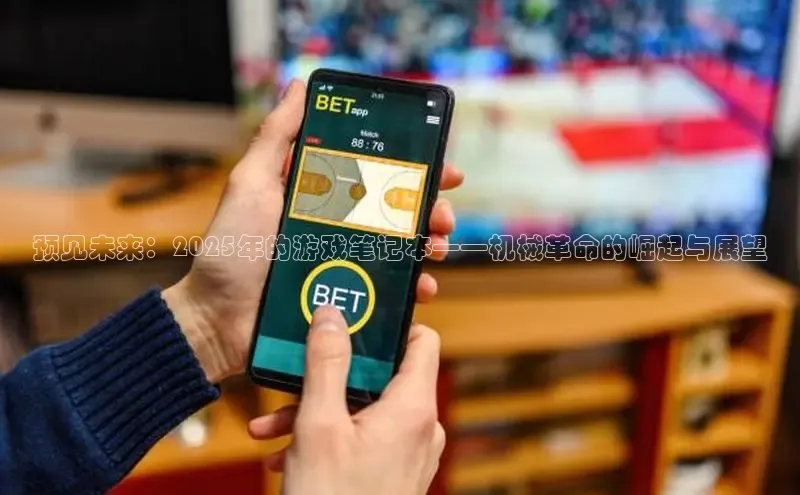 MK体育官方网站入口